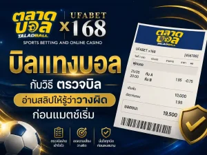 บิลแทงบอล กับวิธี ตรวจบิล